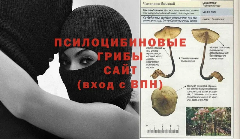 мега ССЫЛКА  Заозёрный  Псилоцибиновые грибы Cubensis 